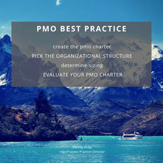 pmo-best-practice-pmo-pmo-charter-organizational-structure-pmo-size-wendy-kraly-regoprocess-rego-consulting.png